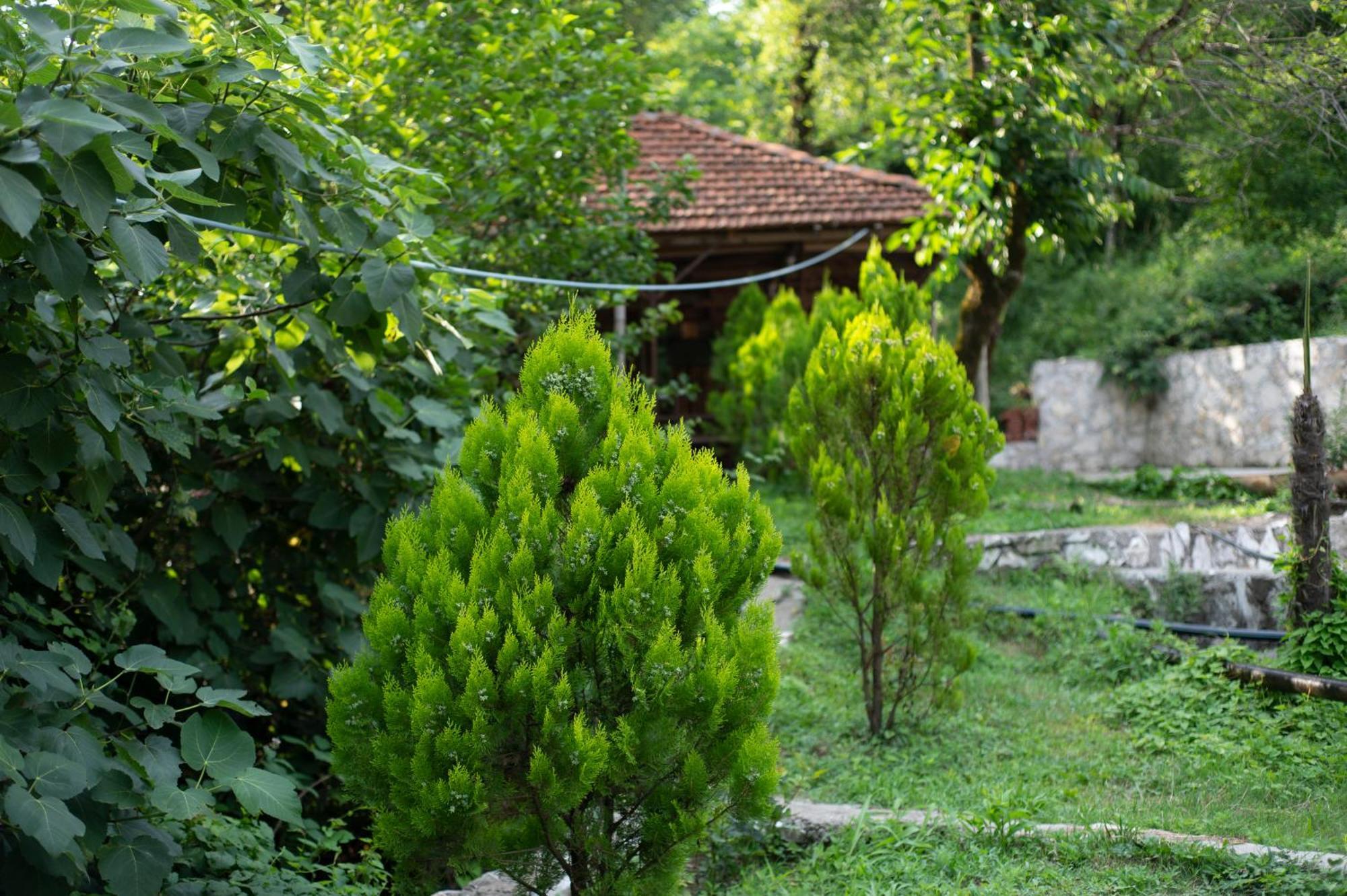 Gordela Hotel Gordi Kültér fotó