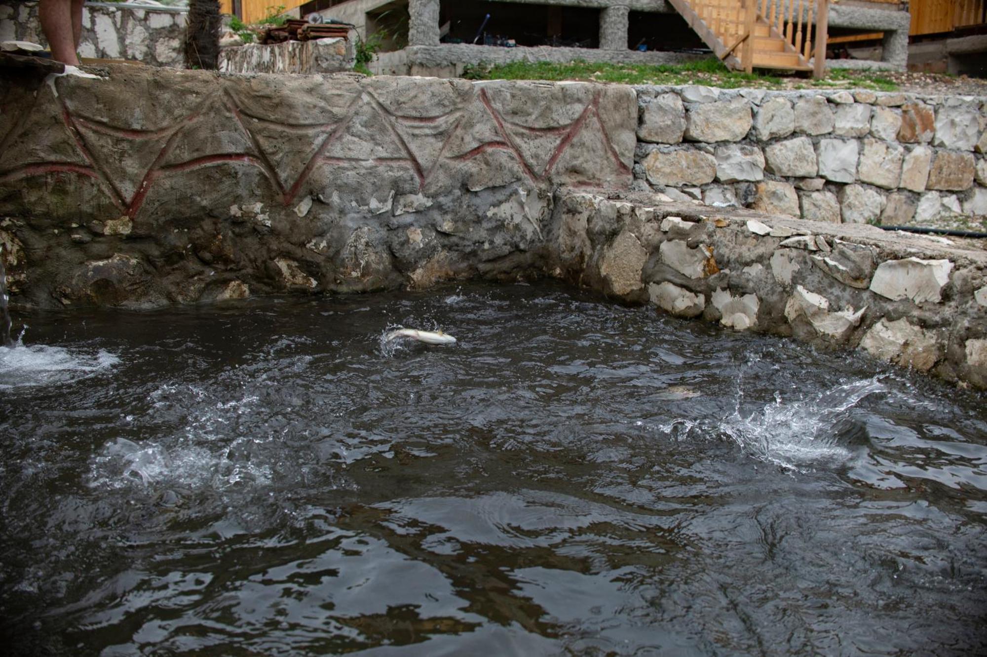 Gordela Hotel Gordi Kültér fotó