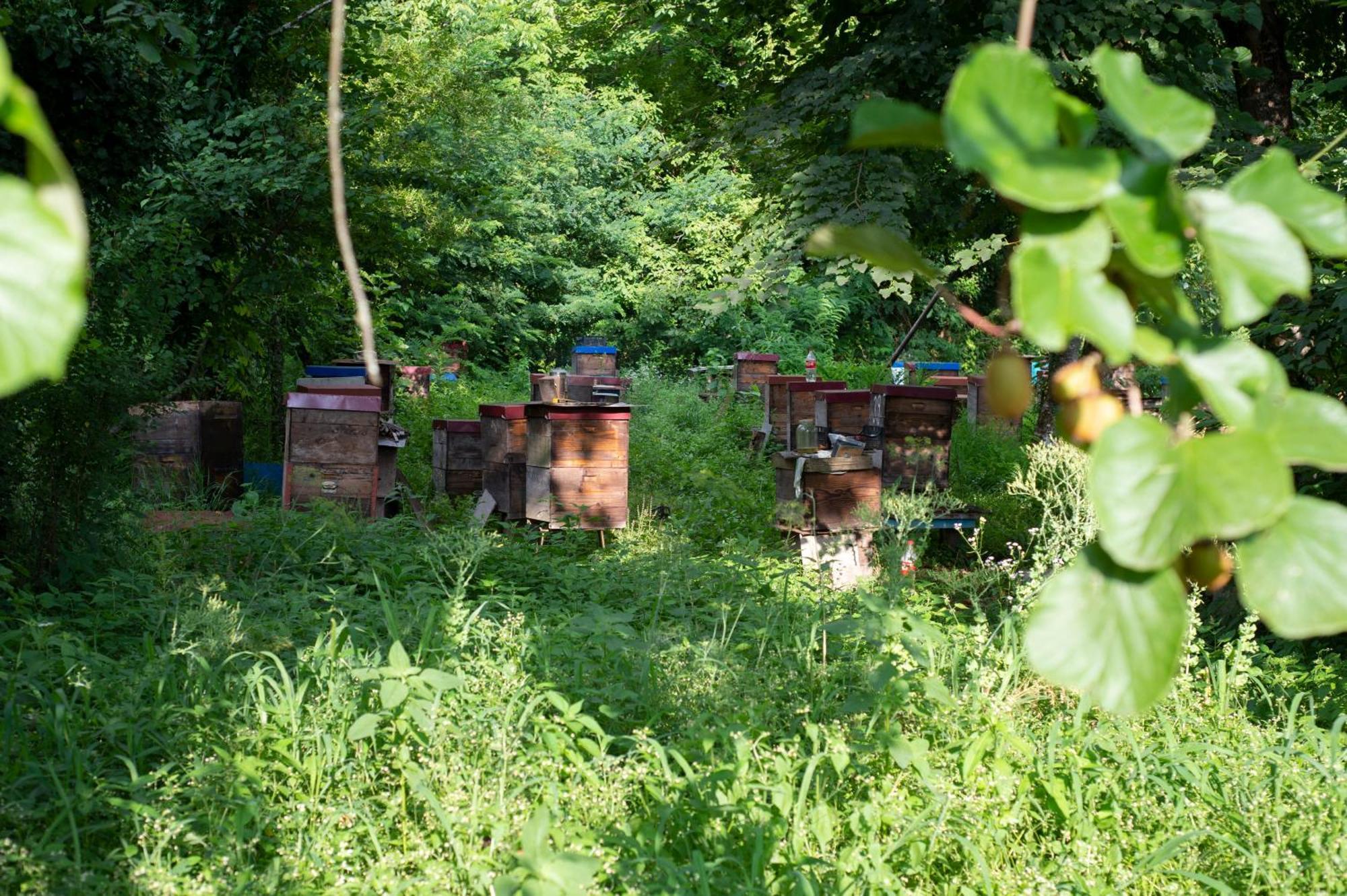 Gordela Hotel Gordi Kültér fotó